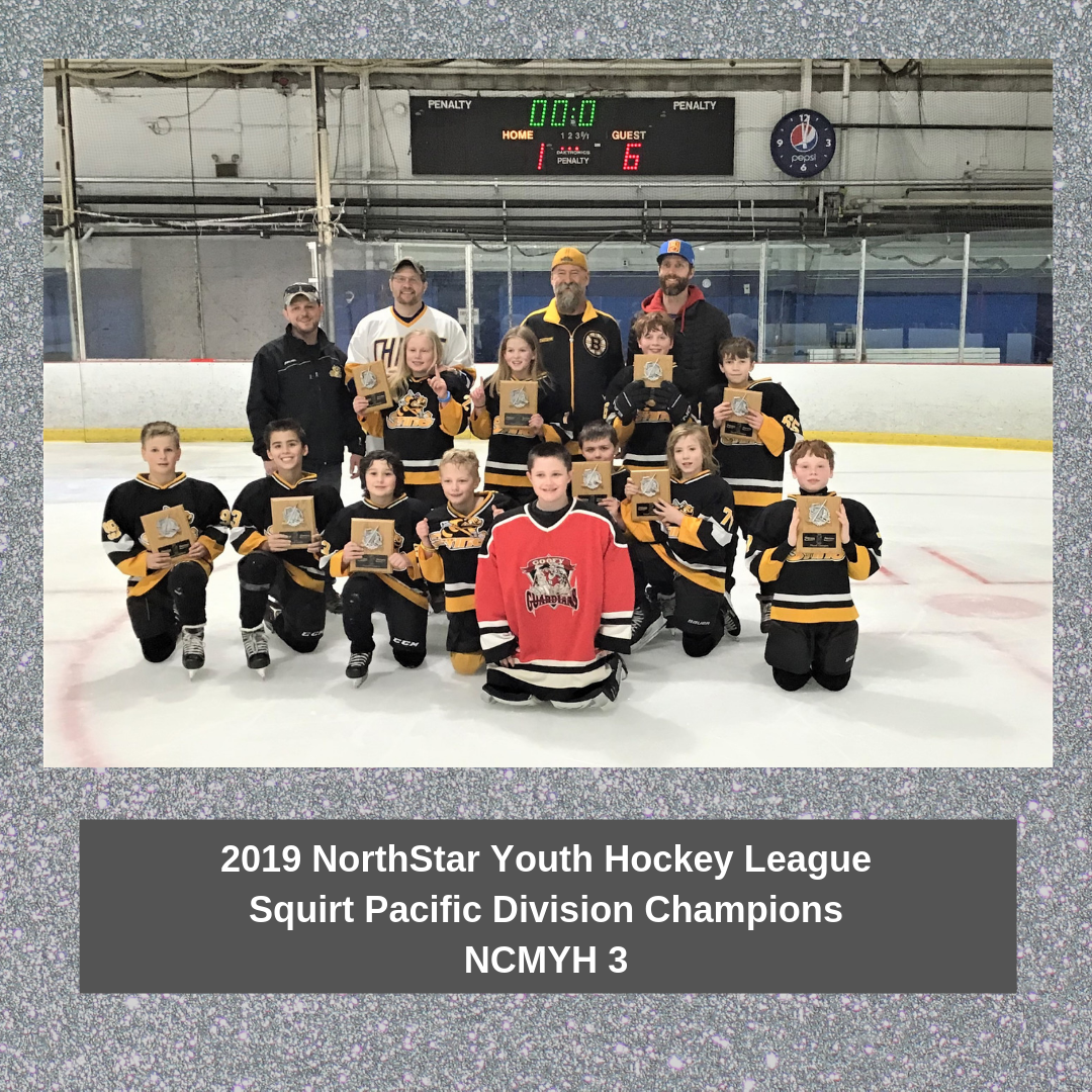 Youth Hockey League